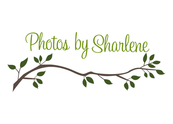 Photos By Sharlene Hills District Photographer